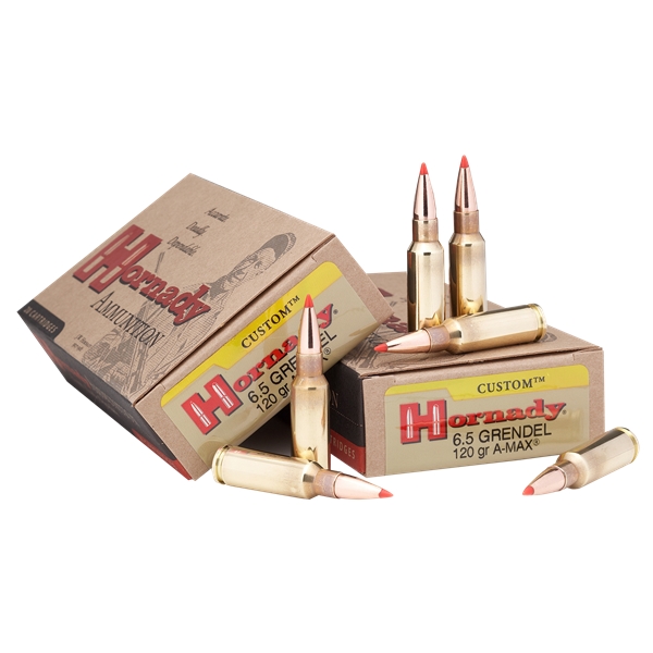 Hornady Custom, Horn 8152  6.5grn  123 Sst                   20/10