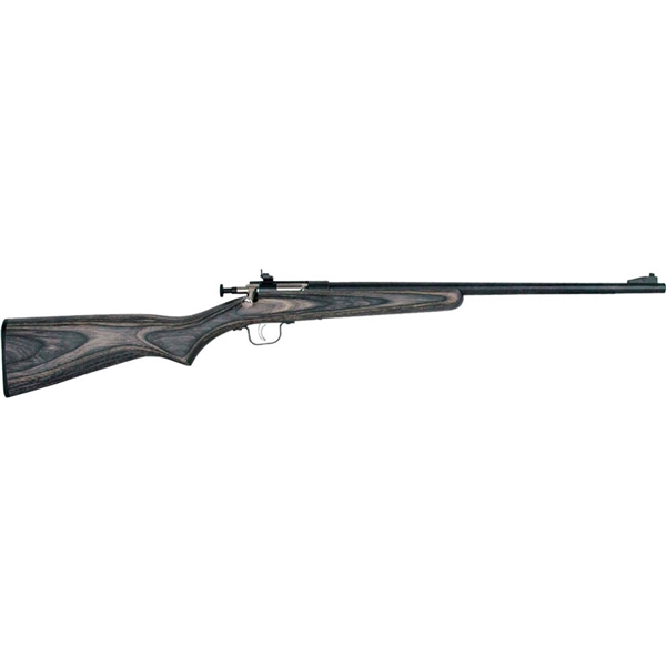 Crickett Rifle G2 .22lr - Blued/black Laminate