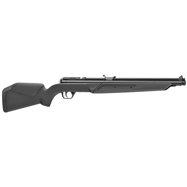 Benjamin .22 Pellet Rifle Pump Blk