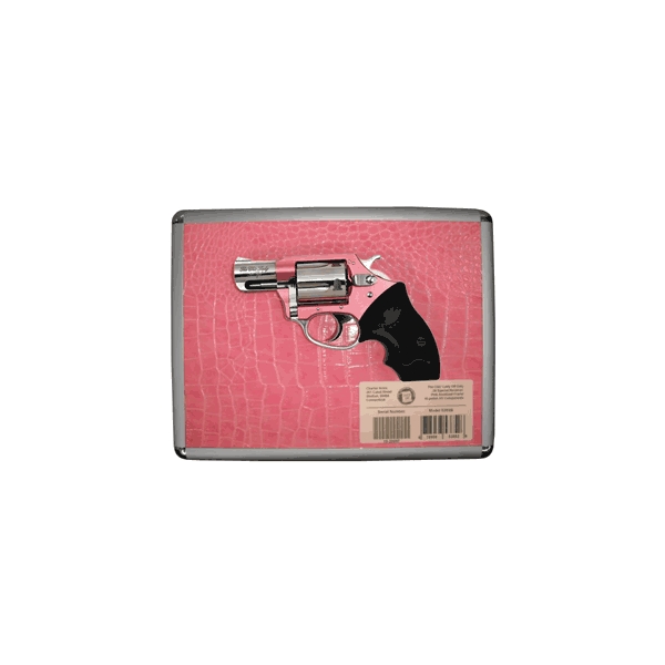 Charter Chic Lady 38spl 2" Pink/case