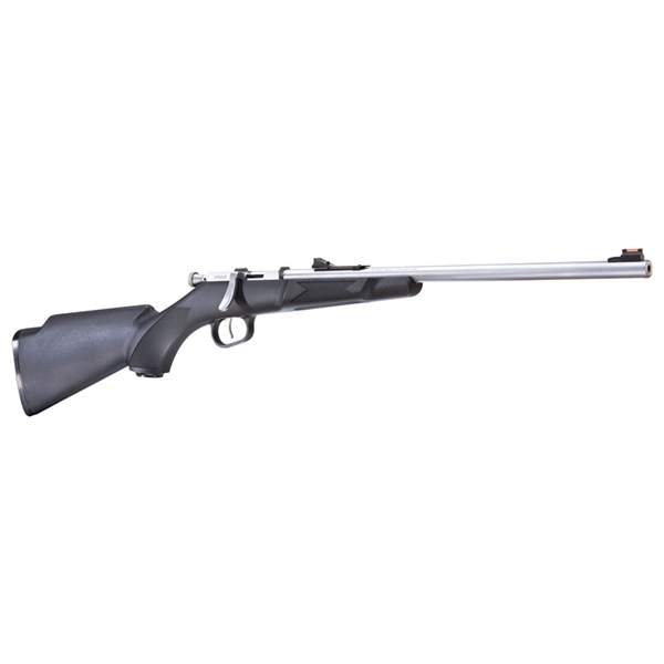 Henry Mini Bolt 22lr 16.25" Blk/sts