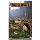 Action Target Inc Action, Action Gsbighunt100     Big O Hunt          100 Bx