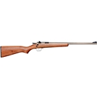 Crickett Rifle G2 .22lr - S/s Walnut