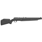 Benjamin .22 Pellet Rifle Pump Blk