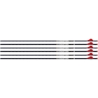 Easton Arrow Axis 4mm 340 2" - Blazer Vanes 6-pack Long Range