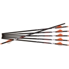 Ravin Xbow Arrow Xk5 500gr - .001 6pk Fits All Models