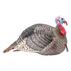 Hunters Specialties Strut-lite, Hs 100003 Strut-lite Jake Decoy